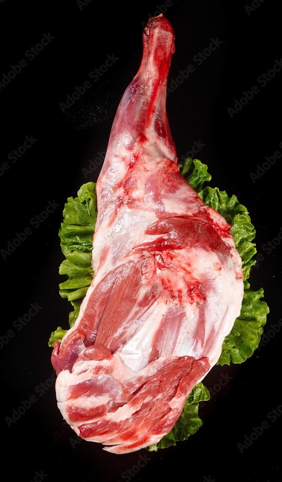 Shank - Hindquarter