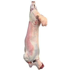 Carcase