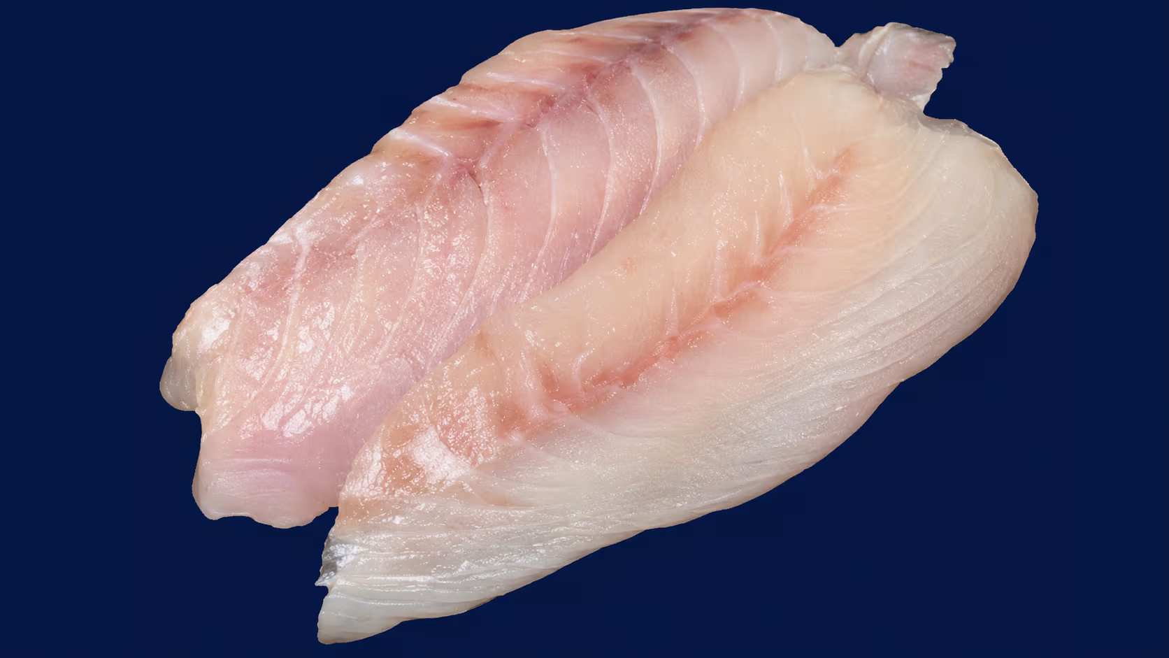 Red Emperor Fillet