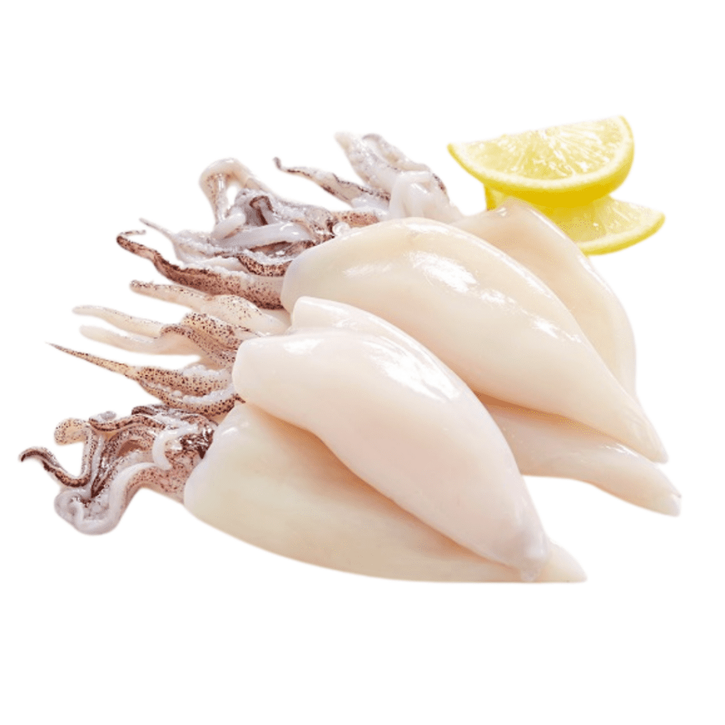 Whole Fremantle Squid